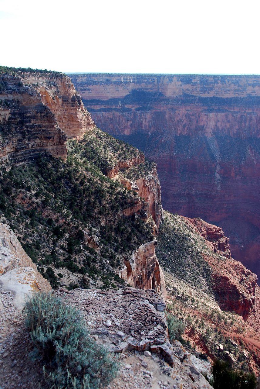 07-08-20, 203, Grand Canyon, South Rim, Az