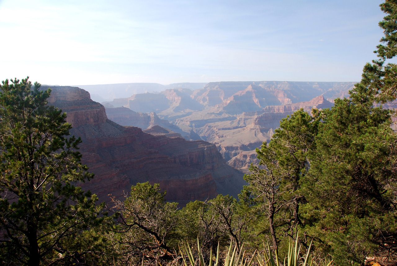 07-08-20, 233, Grand Canyon, South Rim, Az