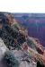 07-08-20, 203, Grand Canyon, South Rim, Az