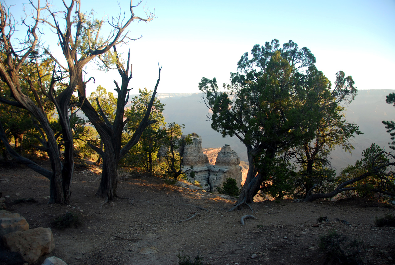 07-08-21, 009, Grand Canyon, South Rim, Az