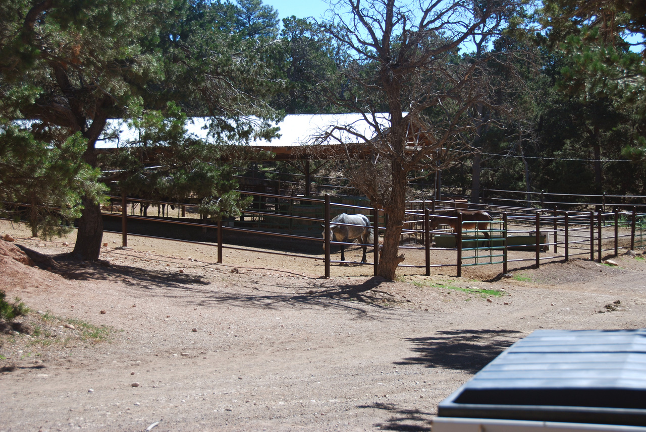 07-08-21, 041, Grand Canyon, South Rim, Az