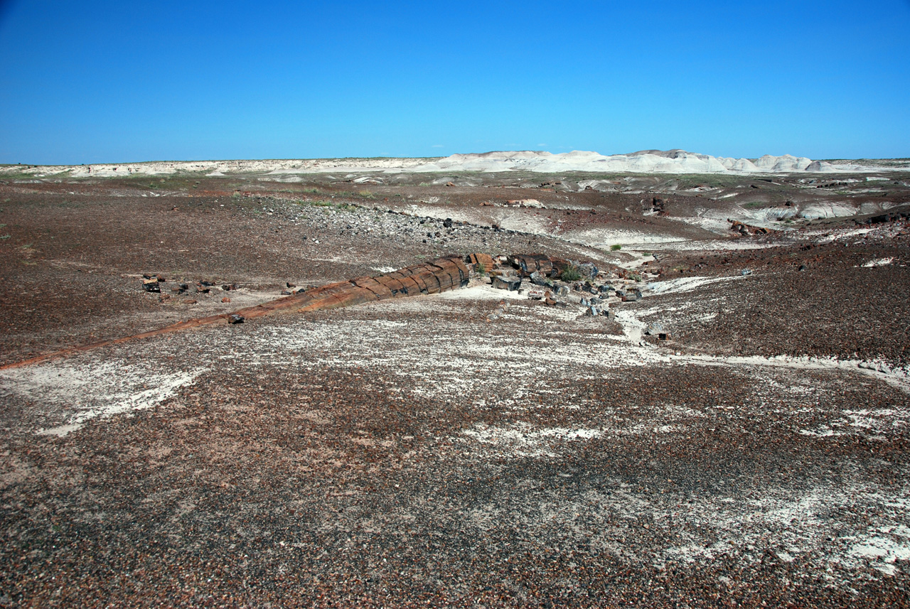 07-08-21, 105, Petrified Forest, Az