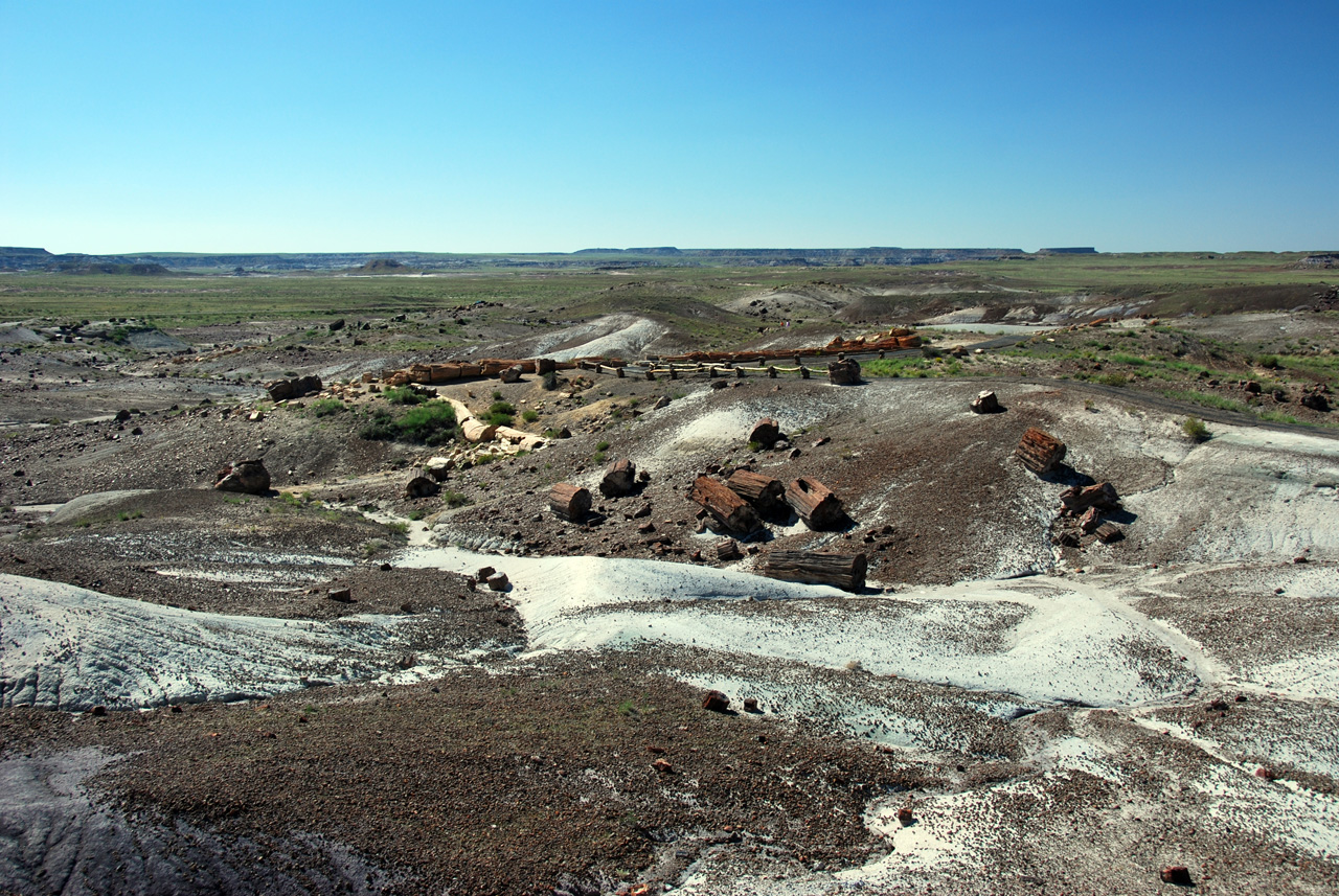 07-08-21, 107, Petrified Forest, Az