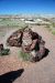 07-08-21, 076, Petrified Forest, Az