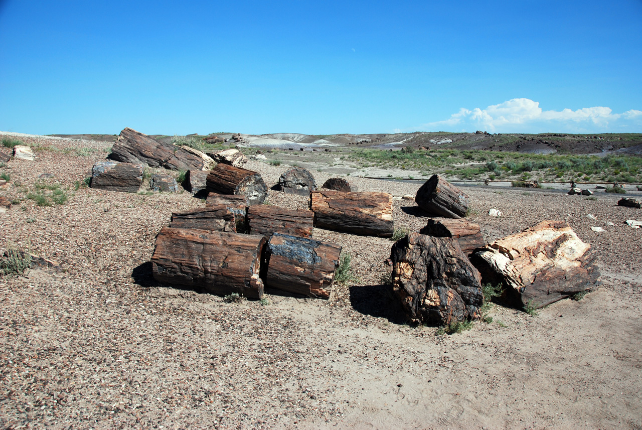 07-08-21, 122, Petrified Forest, Az