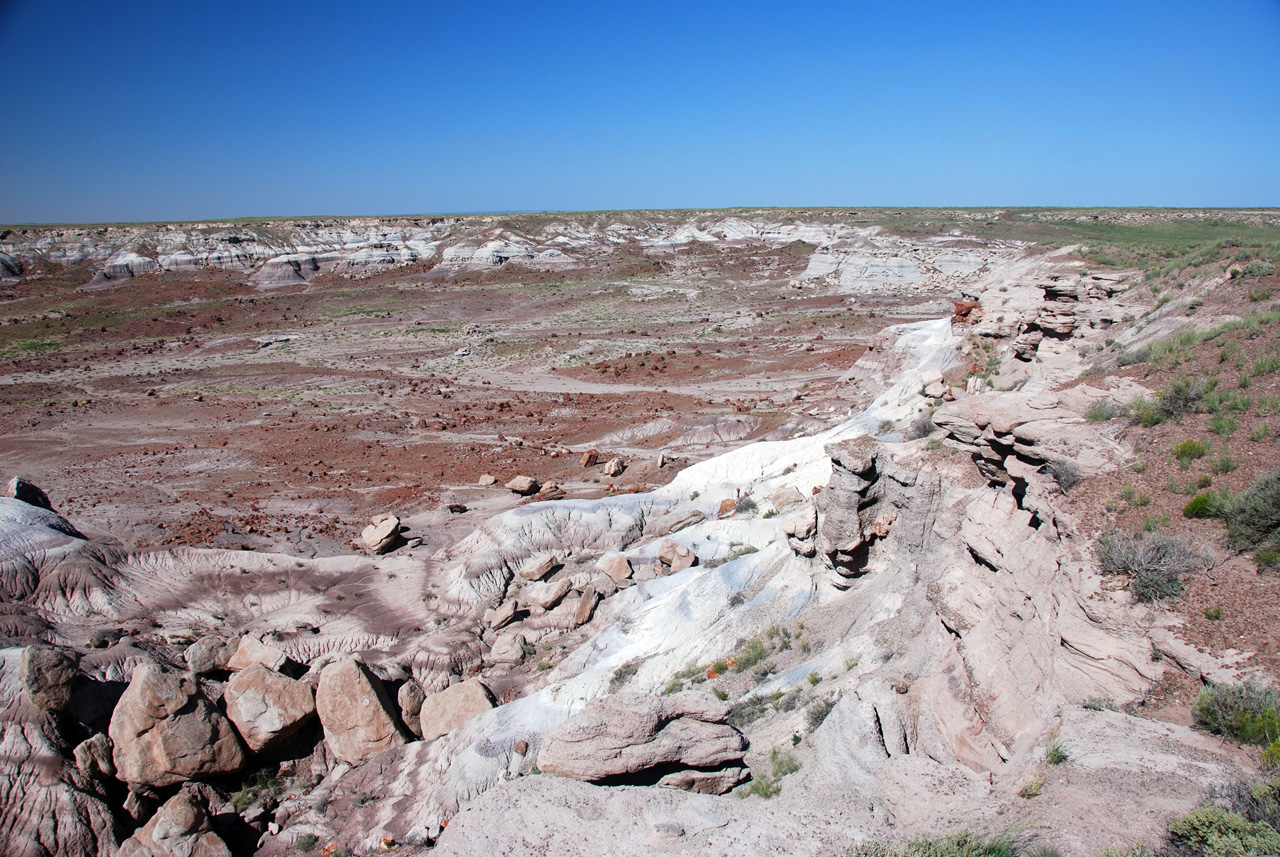 07-08-21, 125, Petrified Forest, Az