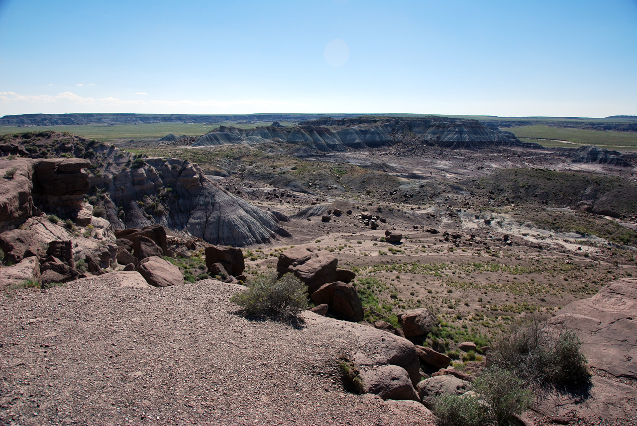 07-08-21, 128, Petrified Forest, Az