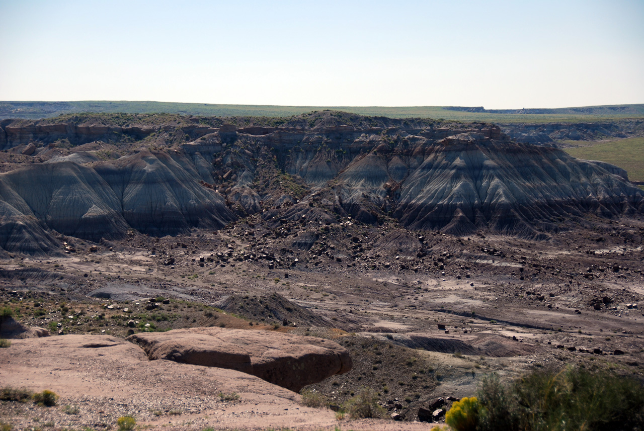 07-08-21, 131, Petrified Forest, Az