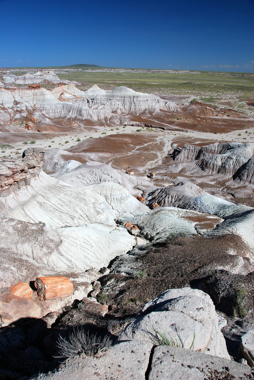 07-08-21, 132, Petrified Forest, Az