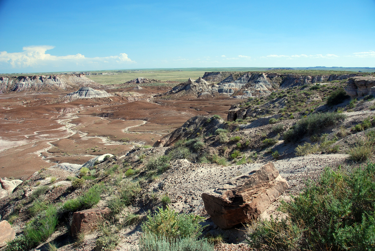 07-08-21, 135, Petrified Forest, Az