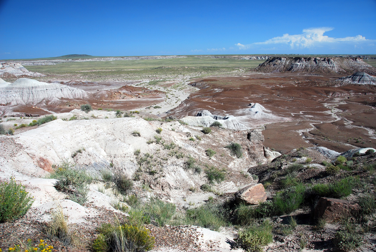 07-08-21, 136, Petrified Forest, Az