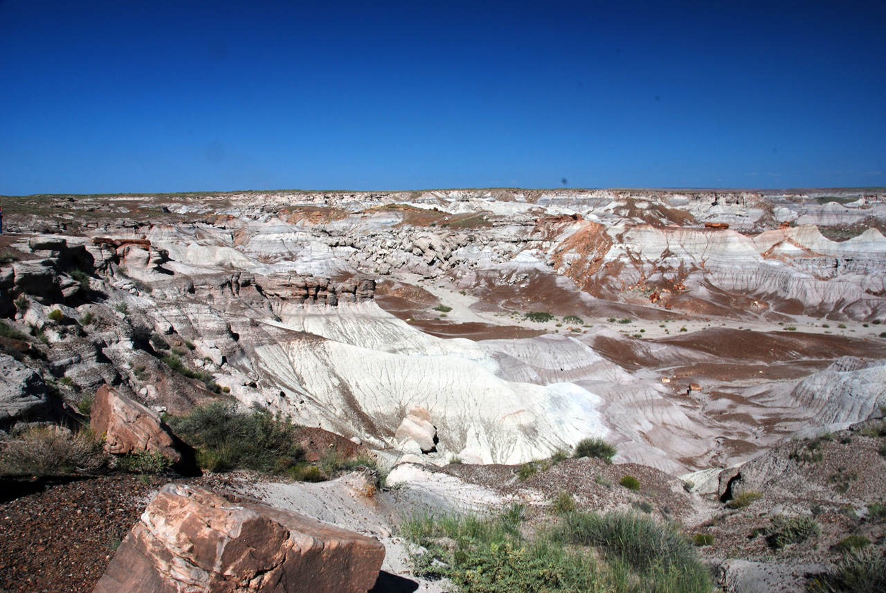 07-08-21, 137, Petrified Forest, Az