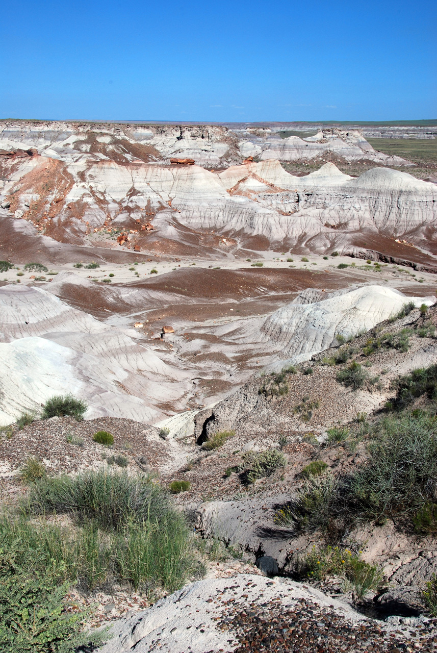 07-08-21, 138, Petrified Forest, Az