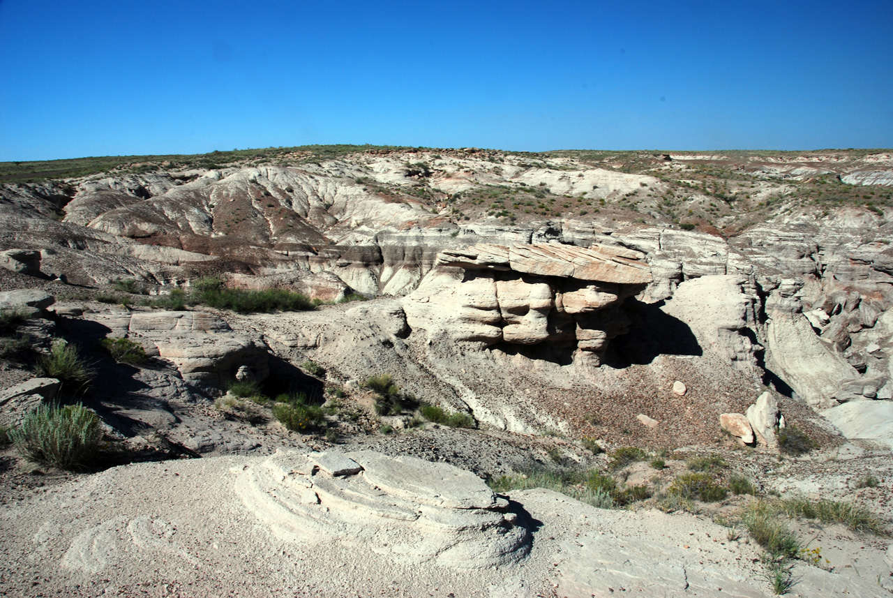 07-08-21, 141, Petrified Forest, Az