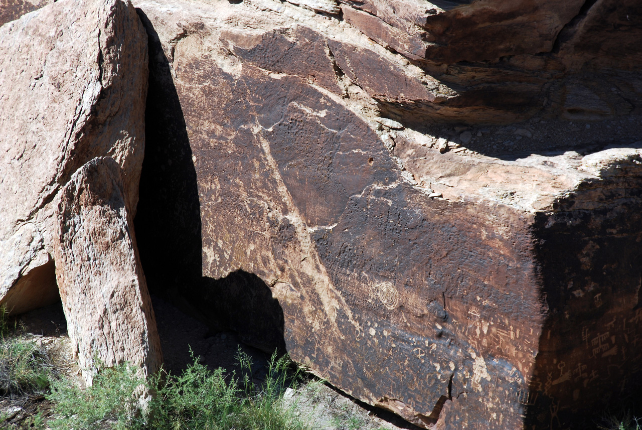 07-08-21, 146, Petrified Forest, Az