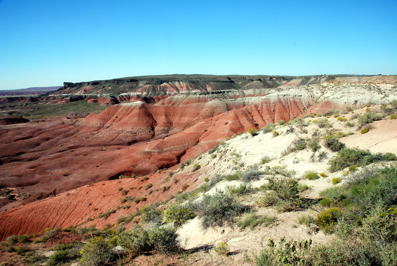 07-08-21, 154, Painted Desert, Az