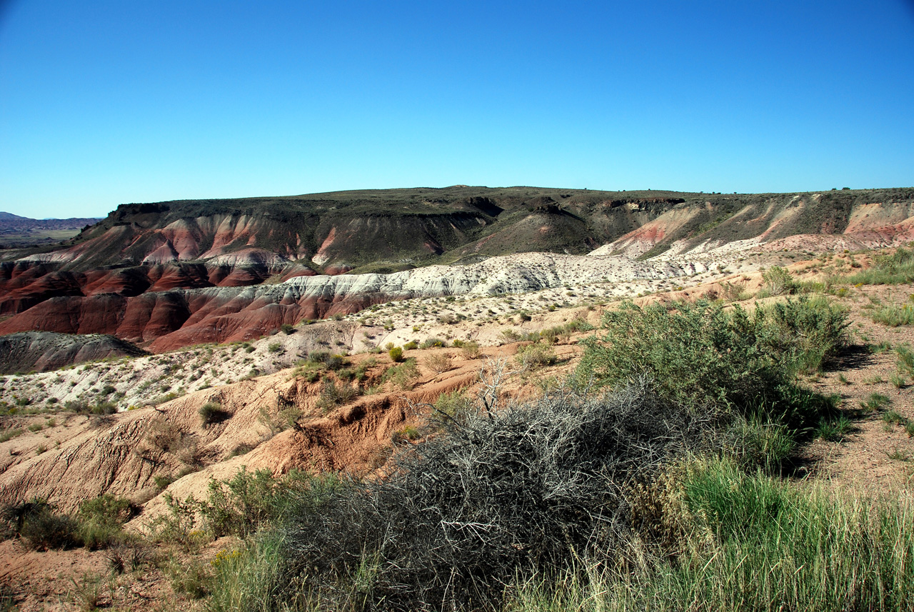 07-08-21, 158, Painted Desert, Az