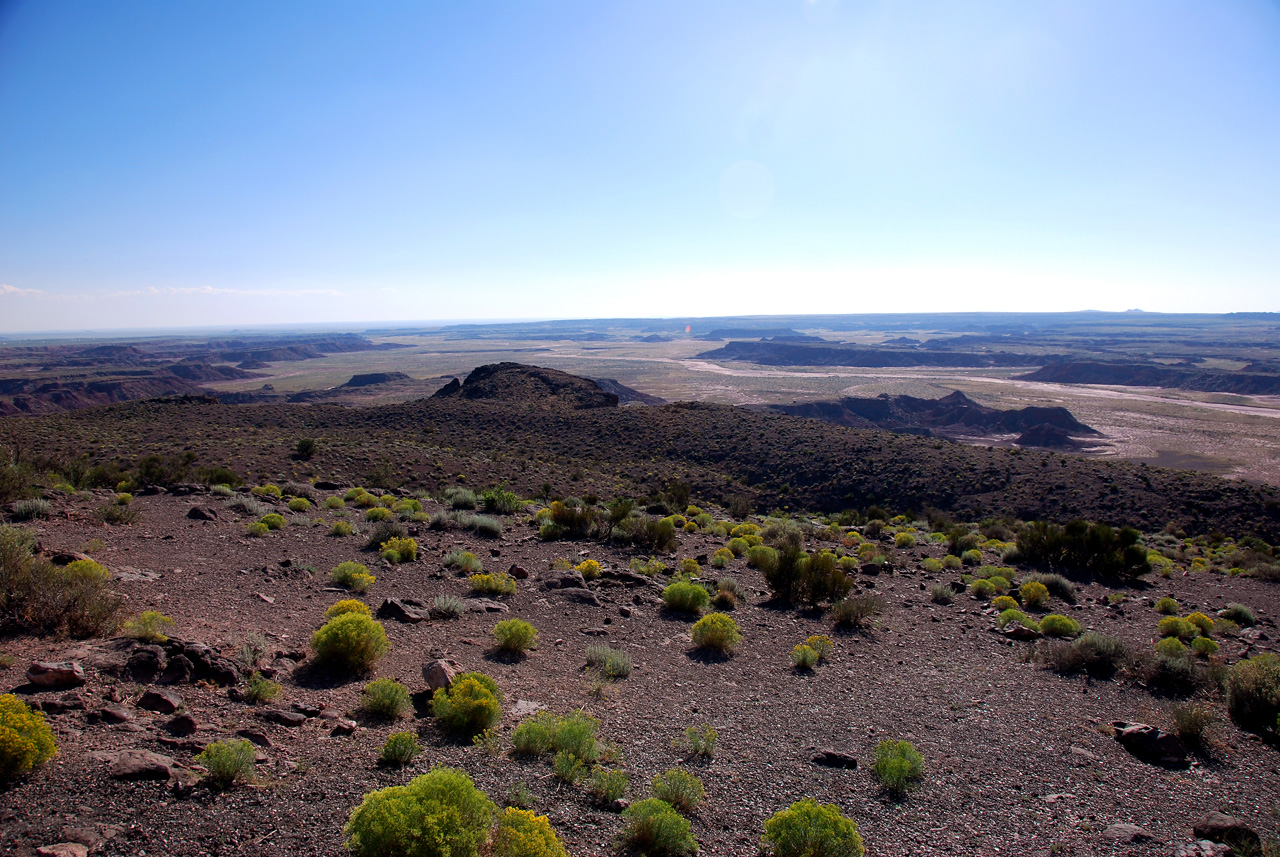 07-08-21, 169, Painted Desert, Az