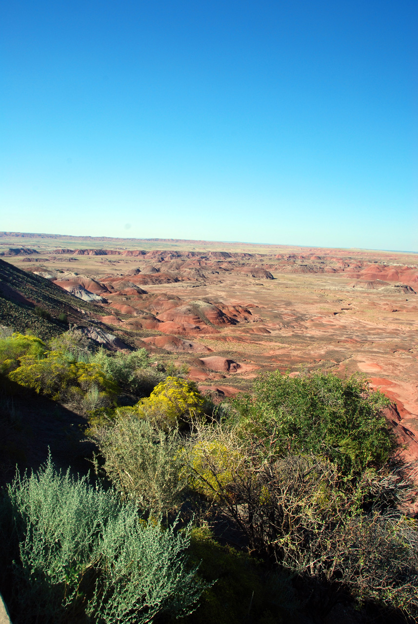 07-08-21, 172, Painted Desert, Az