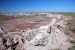 07-08-21, 125, Petrified Forest, Az