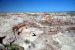 07-08-21, 133, Petrified Forest, Az