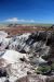 07-08-21, 134, Petrified Forest, Az