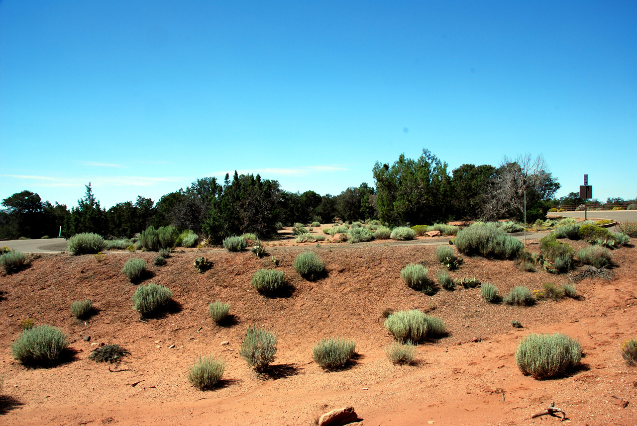 07-08-22, 106, Canyon de Chelly, Az