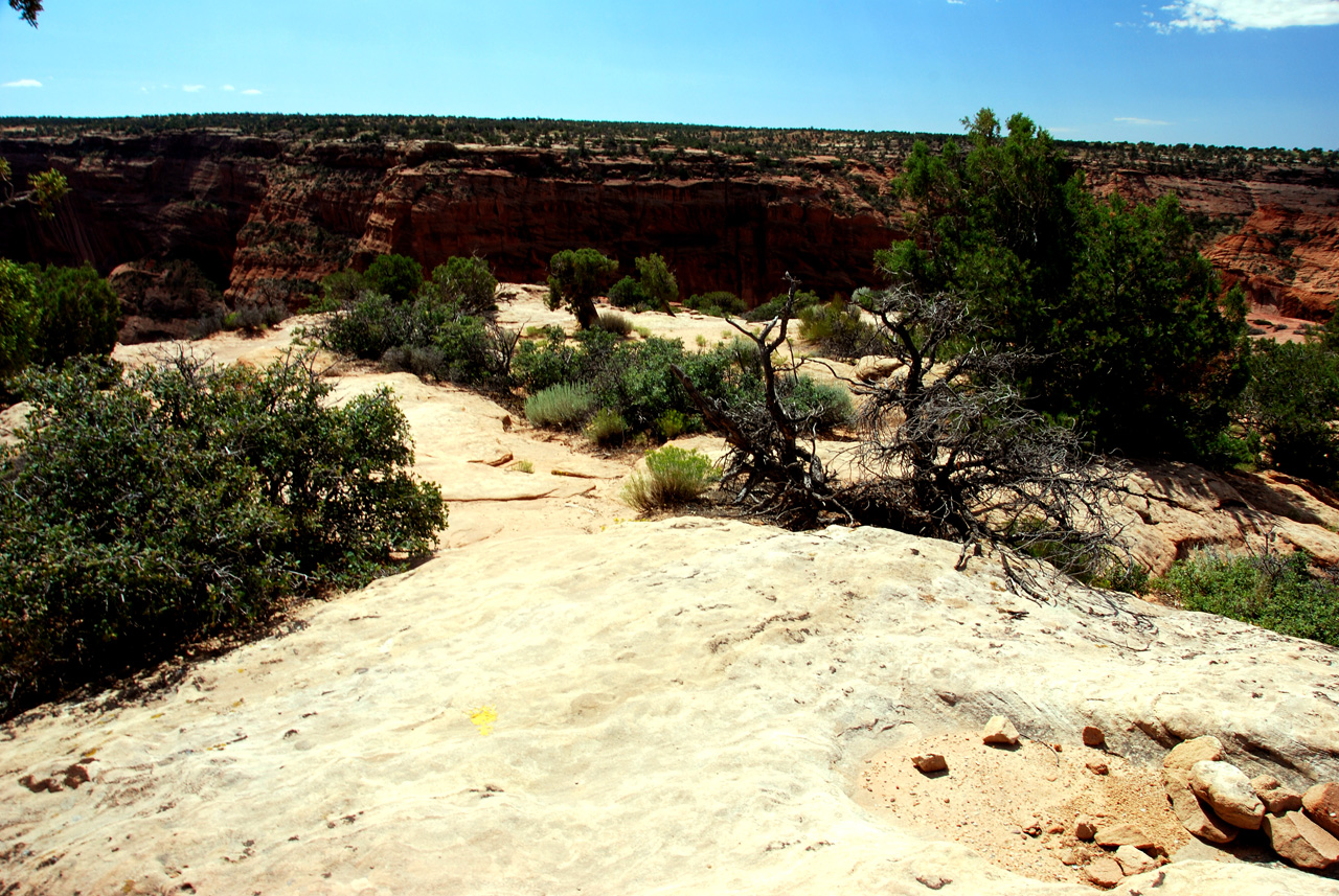 07-08-22, 113, Canyon de Chelly, Az