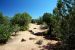 07-08-22, 105, Canyon de Chelly, Az