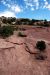 07-08-22, 137, Canyon de Chelly, Az