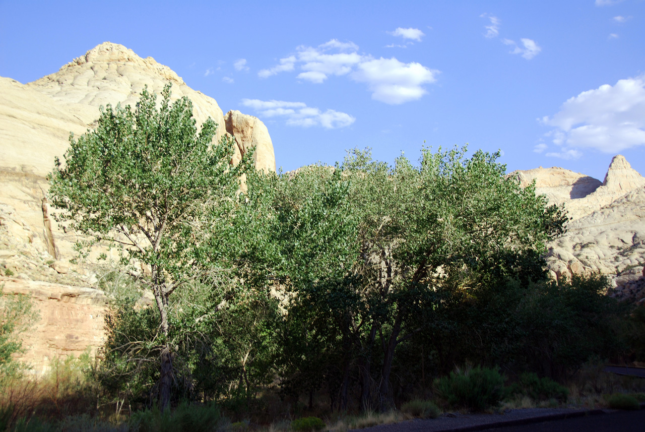 07-08-22, 210, Capitol Reef National Park, Utah