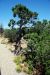 07-08-22, 165, Canyon de Chelly, Az