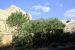 07-08-22, 210, Capitol Reef National Park, Utah