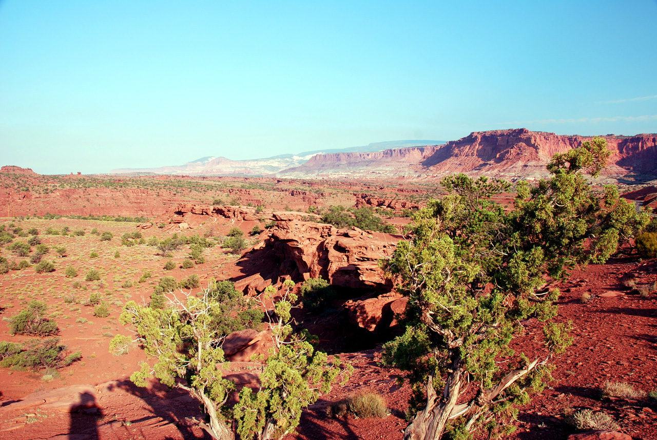 07-08-23, 022, Capitol Reef National Park, Utah