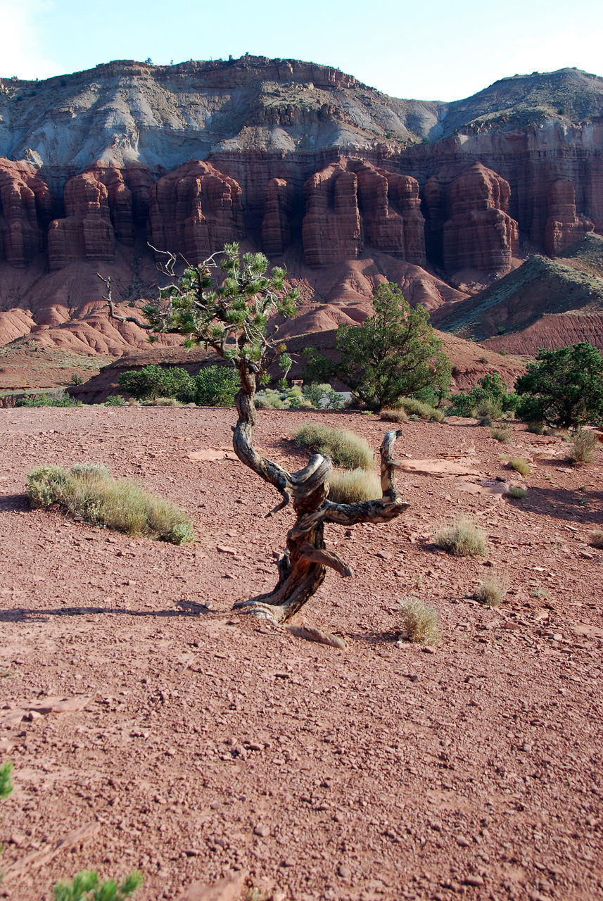 07-08-23, 026, Capitol Reef National Park, Utah