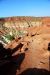 07-08-23, 036, Capitol Reef National Park, Utah