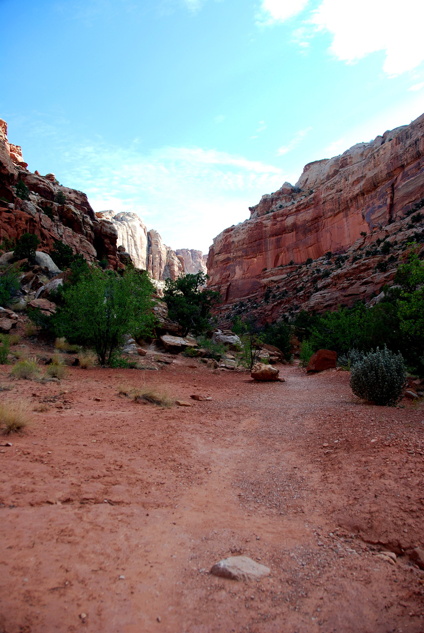 07-08-23, 084, Capitol Reef National Park, Utah