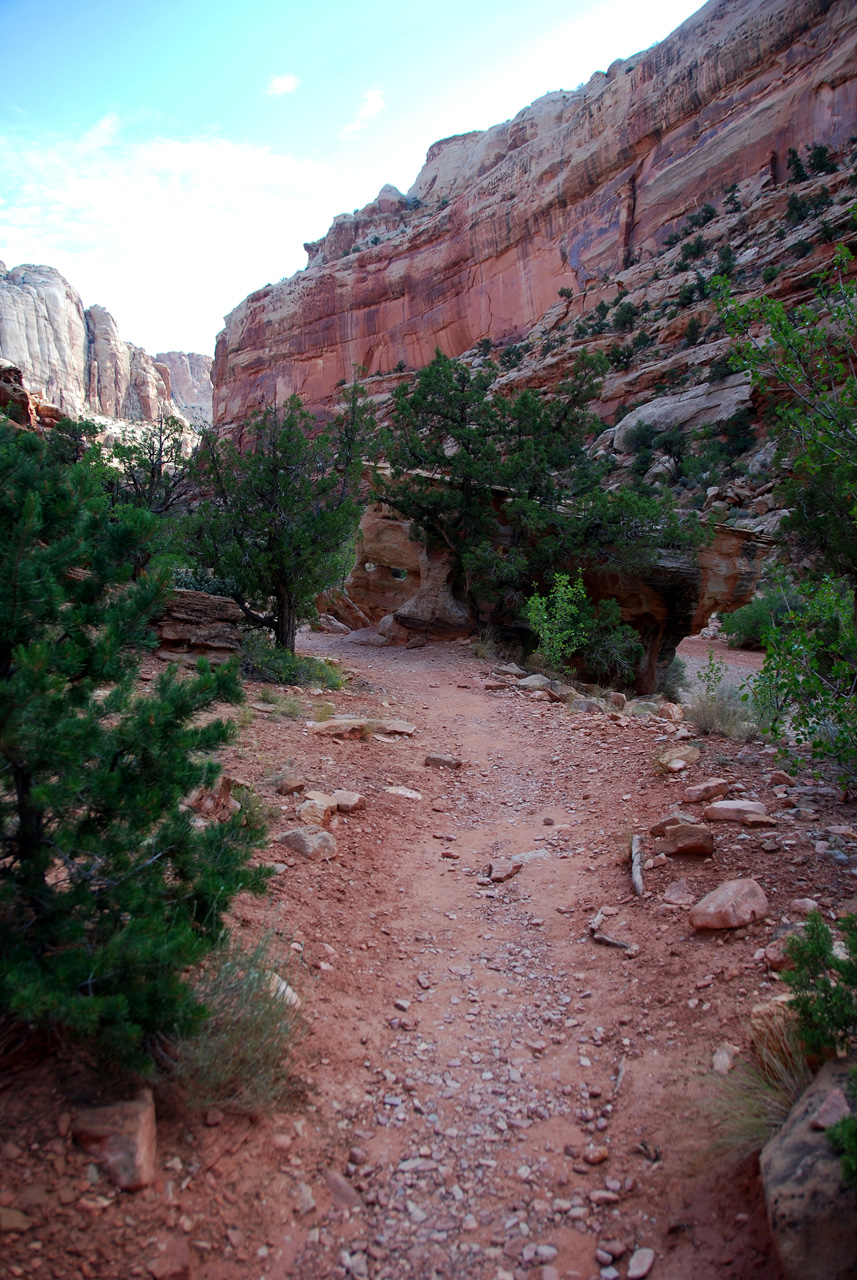 07-08-23, 085, Capitol Reef National Park, Utah