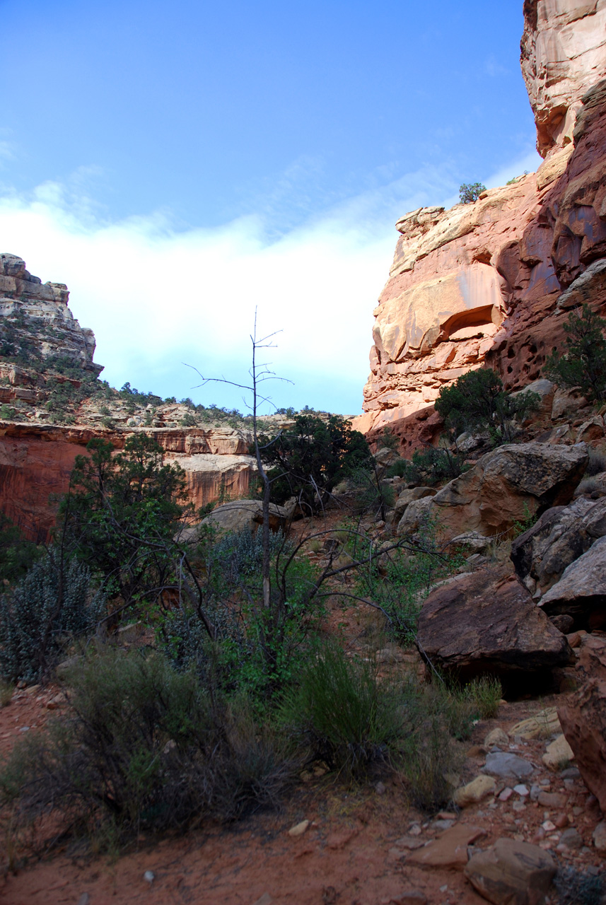 07-08-23, 086, Capitol Reef National Park, Utah