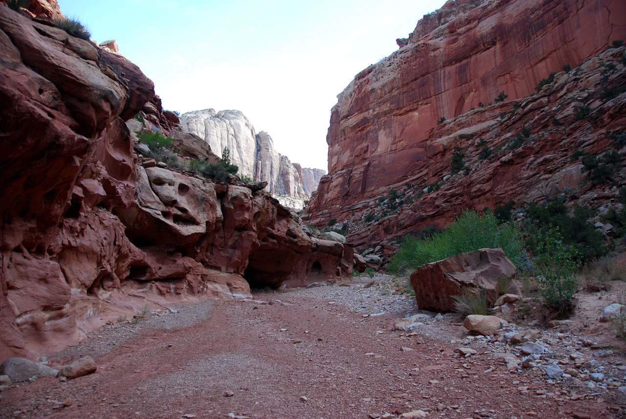 07-08-23, 088, Capitol Reef National Park, Utah