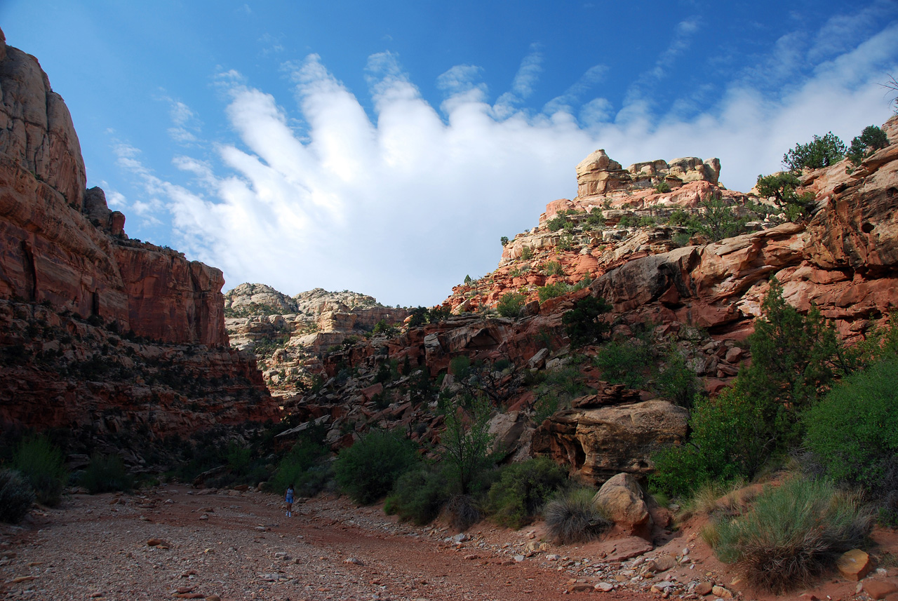 07-08-23, 094, Capitol Reef National Park, Utah