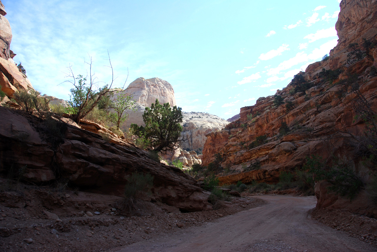 07-08-23, 116, Capitol Reef National Park, Utah