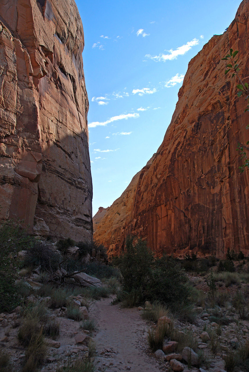 07-08-23, 120, Capitol Reef National Park, Utah