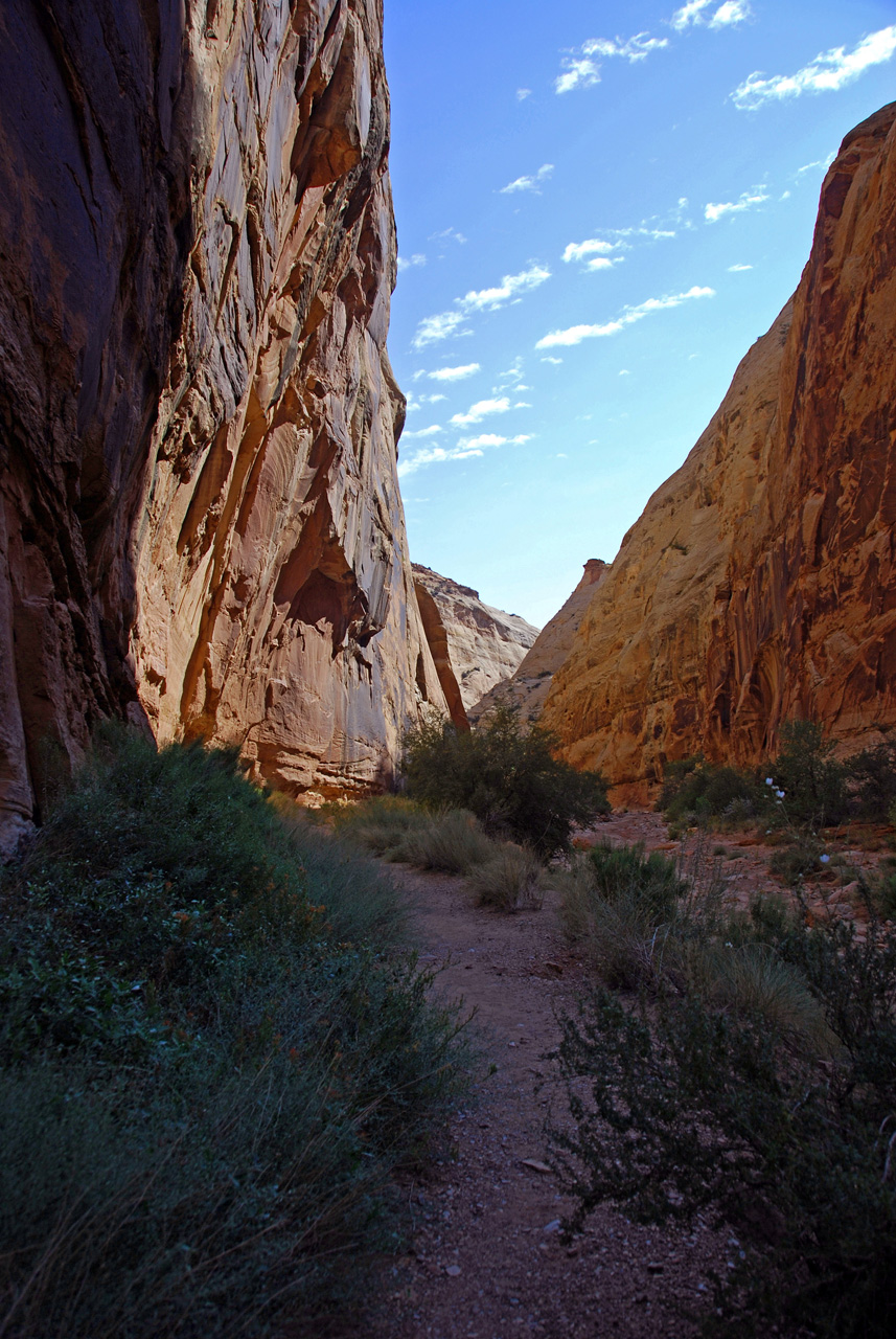 07-08-23, 121, Capitol Reef National Park, Utah