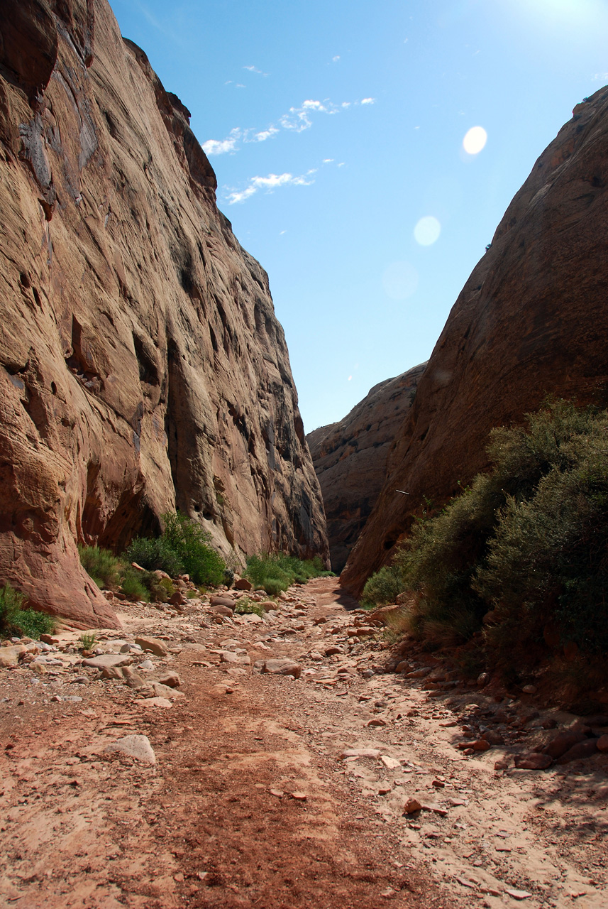 07-08-23, 127, Capitol Reef National Park, Utah