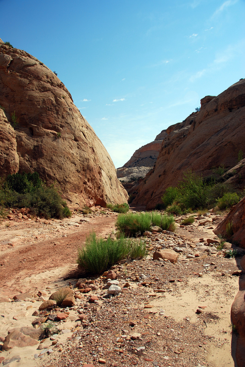 07-08-23, 139, Capitol Reef National Park, Utah