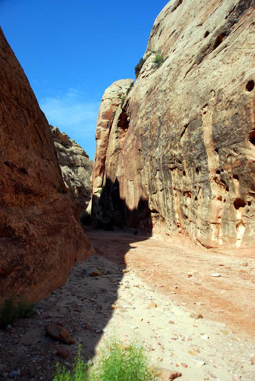 07-08-23, 141, Capitol Reef National Park, Utah