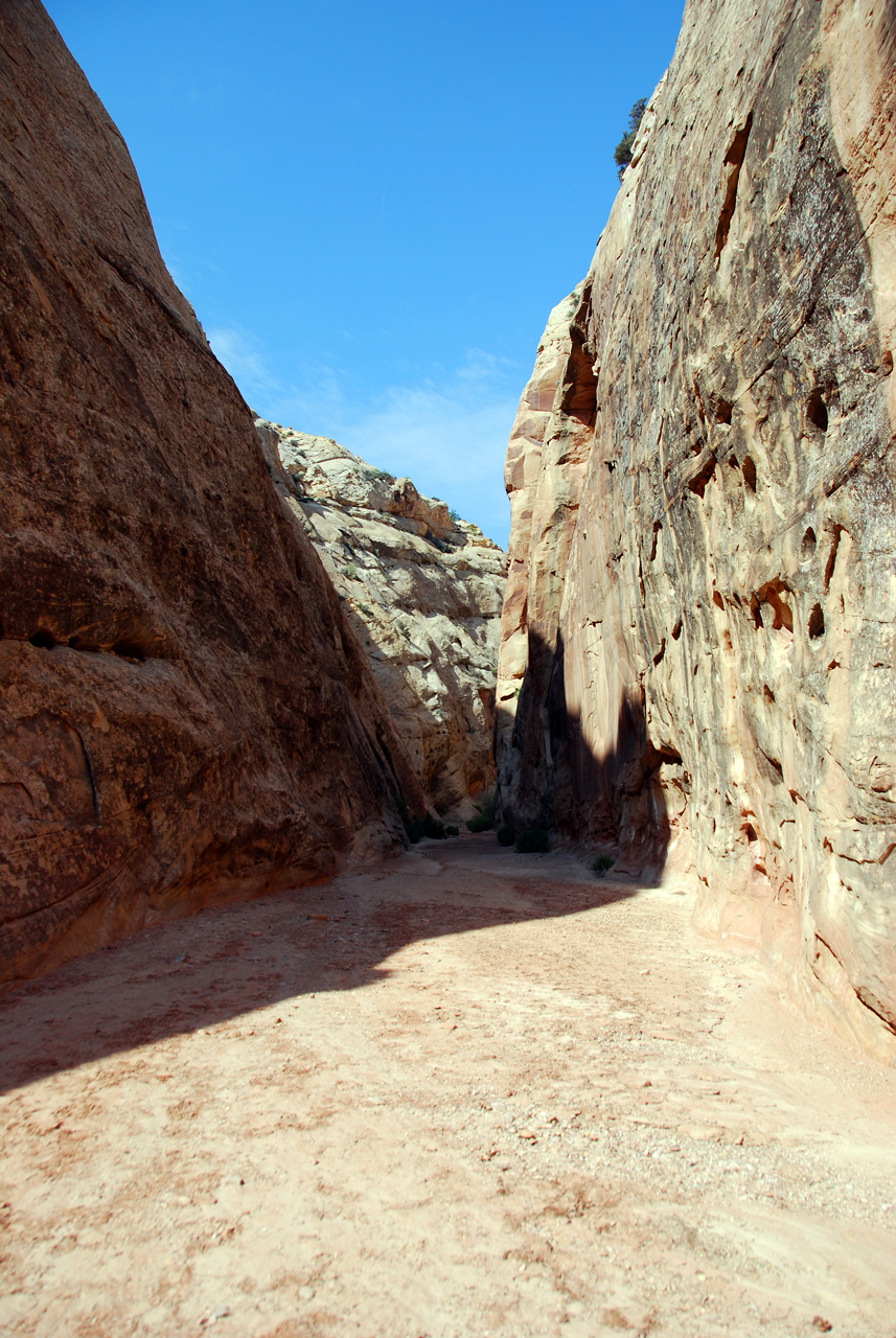 07-08-23, 142, Capitol Reef National Park, Utah