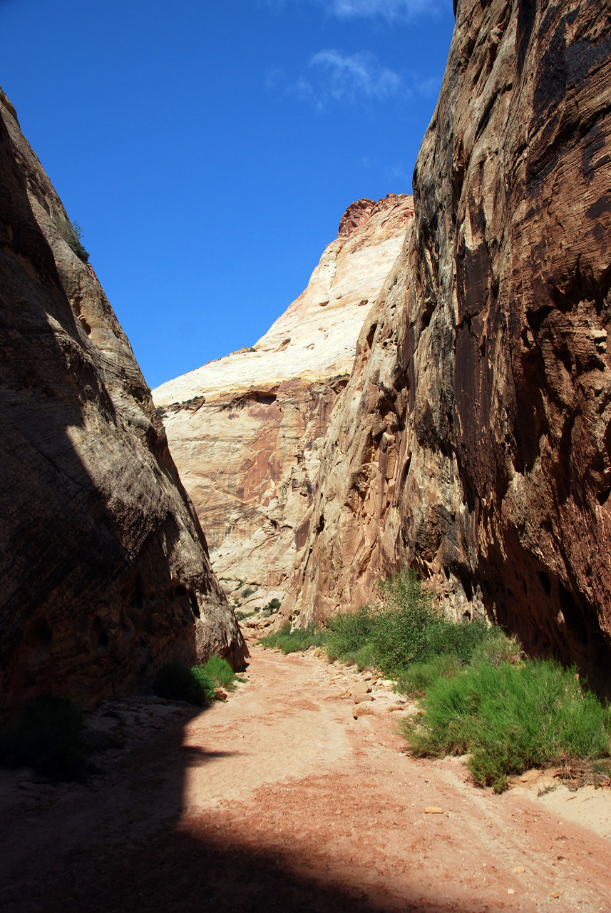 07-08-23, 146, Capitol Reef National Park, Utah