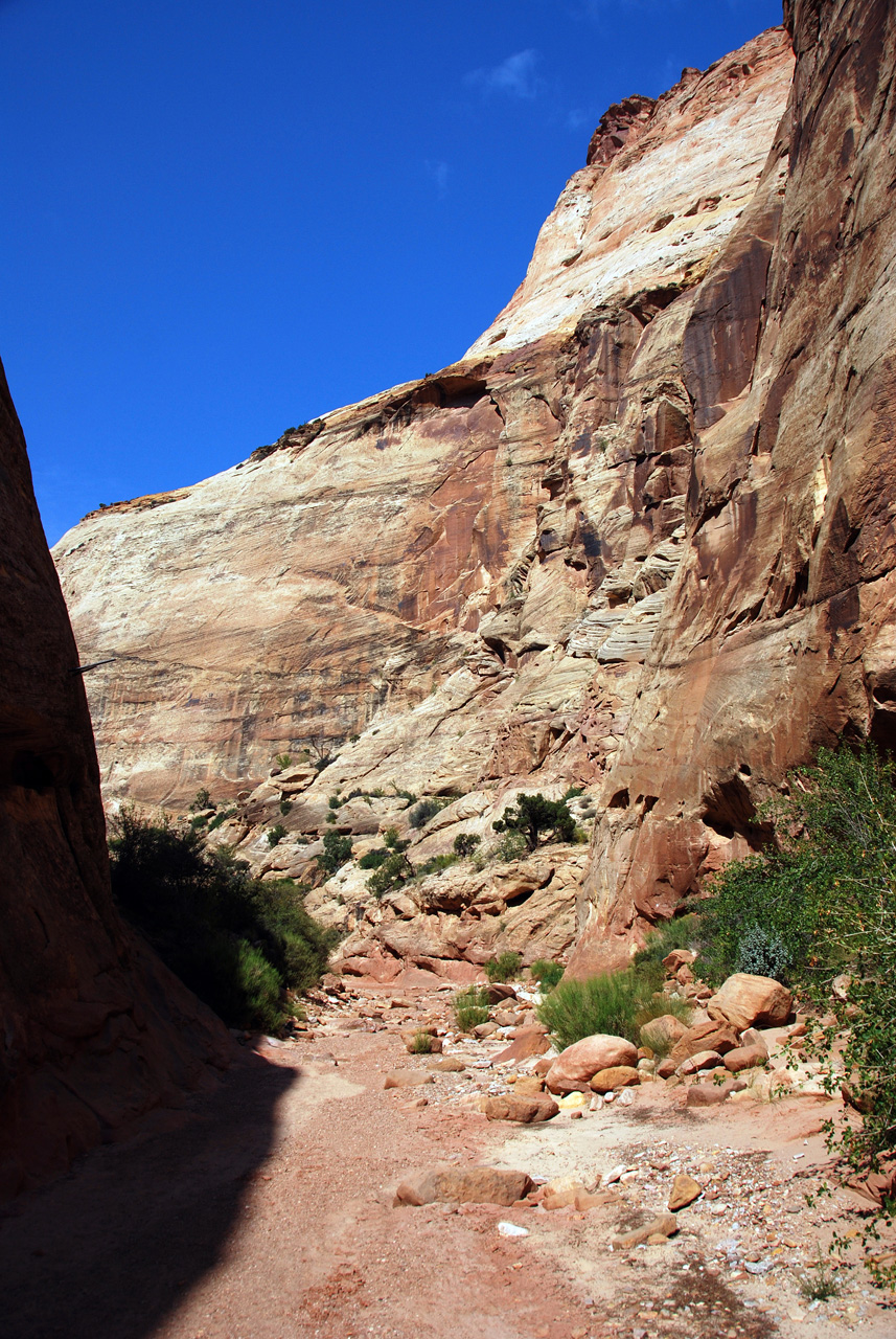 07-08-23, 147, Capitol Reef National Park, Utah